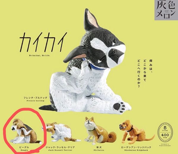 新品未開封 カイカイ ビーグル 犬 いぬ イヌ ガチャガチャ カプセルトイ 灰色メロン