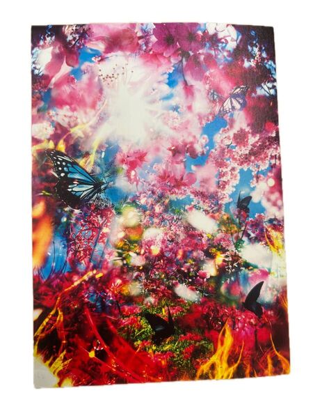 蜷川実花 京セラ美術館で購入 ポストカード