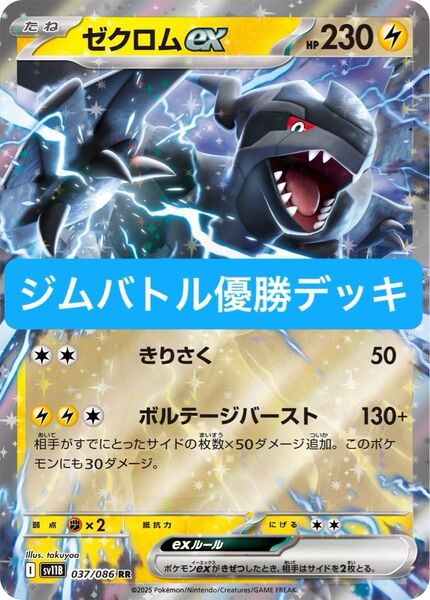 ポケカ 最新ジムバトル優勝デッキ ゼクロムexデッキ ミライドンexデッキ 本格構築済みデッキ 初心者おすすめ
