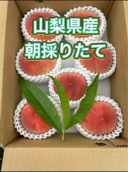 C15 初物 山梨県 桃 千代姫 家庭用 箱込み1.7kg