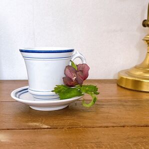 フランスアンティーク Creil et Montereau カップ&ソーサー