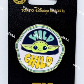 ピンバッジ グローグー スターウォーズ スターツアーズ ディズニー リゾート限定