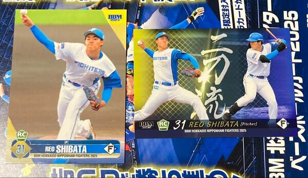 BBM2025日本ハム 柴田獅子 二刀流&レギュラーカード2枚セット ルーキー おまけ付き