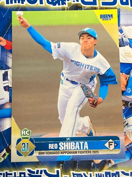 BBM2025日本ハム 柴田獅子 レギュラーカード ルーキー RC