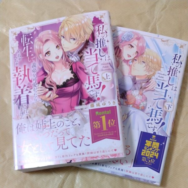 私の推しは当て馬です!転生して義弟を可愛がったらめちゃくちゃ執着されました