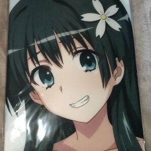 俺の嫁!伍拾 富士浅間堂 あおいまなぶ 佐天涙子 抱き枕カバー B版 脱衣版 とある科学の超電磁砲 俺嫁50 新品未開封