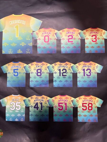 阪神タイガース 選手トロピカルTシャツ 木浪