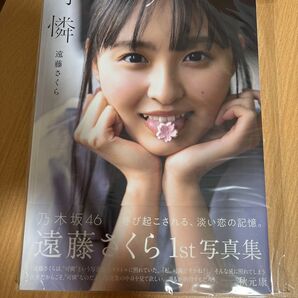 遠藤さくら 写真集 可憐
