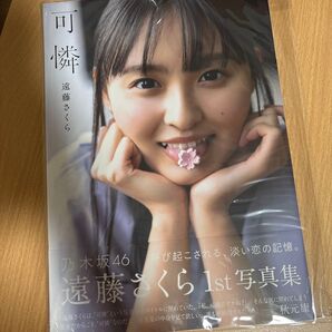 遠藤さくら 写真集 可憐