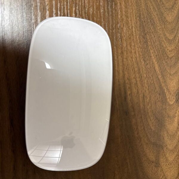 【超美品】Apple Magic Mouse (Multi-Touch対応)最新Type-Cモデル
