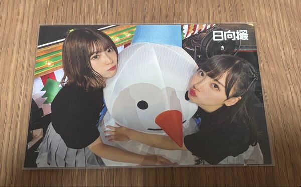 日向坂46 日向撮 ポストカード