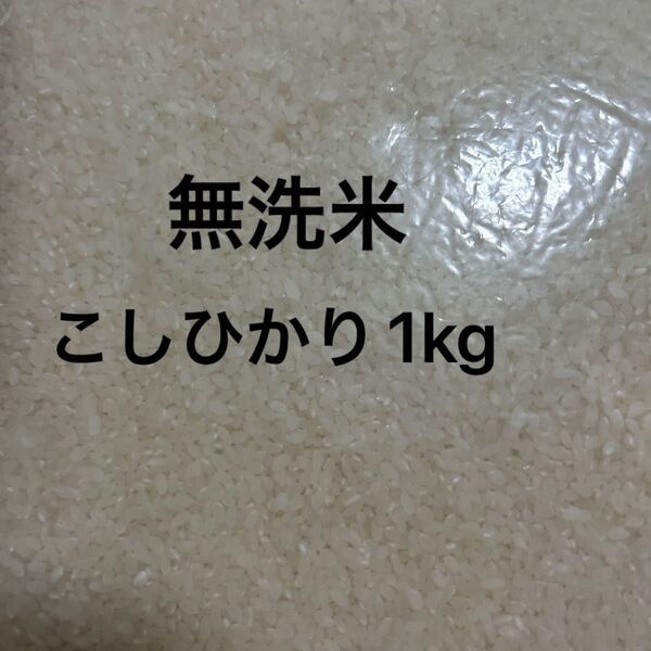 無洗米 こしひかり 1kg 白米 お米 米