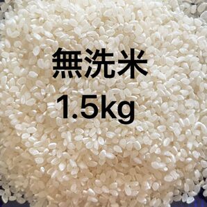 無洗米 お米 無洗米 1.5kg 精米 白米 米
