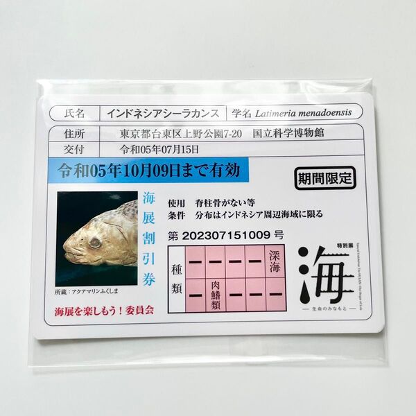 インドネシアシーラカンス 魚の免許証 国立科学博物館 特別展 海展 博物館 限定 配布 非売品 カード かはく 入場者特典 来場者
