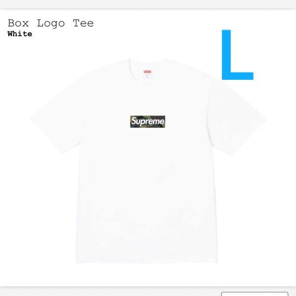 Supreme Box Logo Tee White L 23fw week17
