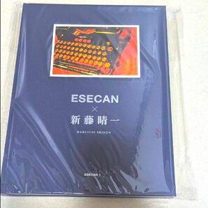 新藤晴一 ESECAN アートブック