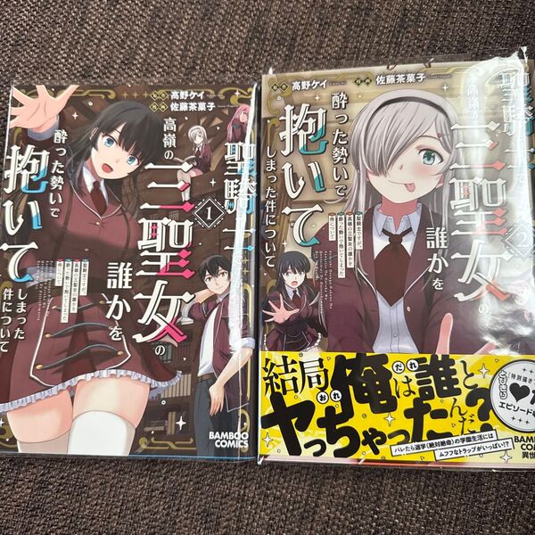 聖騎士ですが、高嶺の三聖女の誰かを酔った勢いで抱いてしまった件について(バンブーコミックス 異世界BC) 高野ケイ