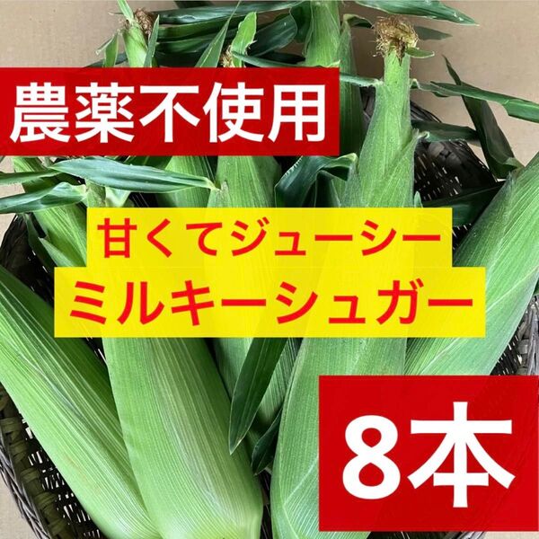 とうもろこし ミルキーシュガー 産地直送 採れたて 無農薬 新鮮 農家直送