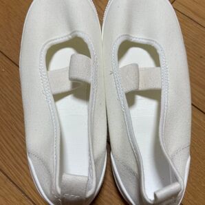 ムーンスター 上履き スクールシューズ 19cm