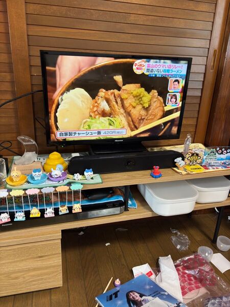 Hisense 24型液晶テレビ 24A50 2019年製