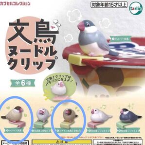 【未開封品】文鳥 ヌードルクリップ シナモン文鳥セット