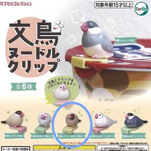 【未開封品】文鳥ヌードルクリップ シナモン文鳥(首傾げ)