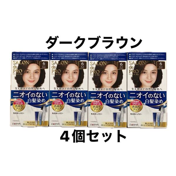 サロンドプロ ニオイのない白髪染め 早染めクリーム 6 ダークブラウン