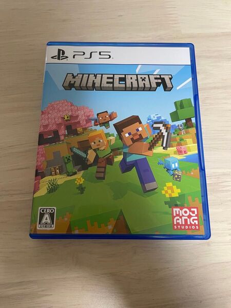 PS5 Minecraft マインクラフト
