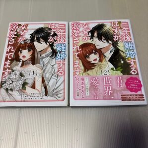 三年後離婚するはずが、なぜか溺愛されてます 1巻&2巻セット