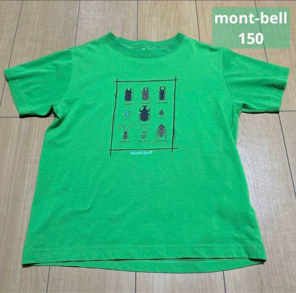 mont-bell キッズ Tシャツ 150 グリーン 半袖 子供服 昆虫