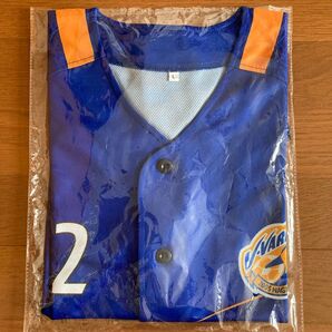 Vファーレン長崎 Lサイズ 夢シャツ