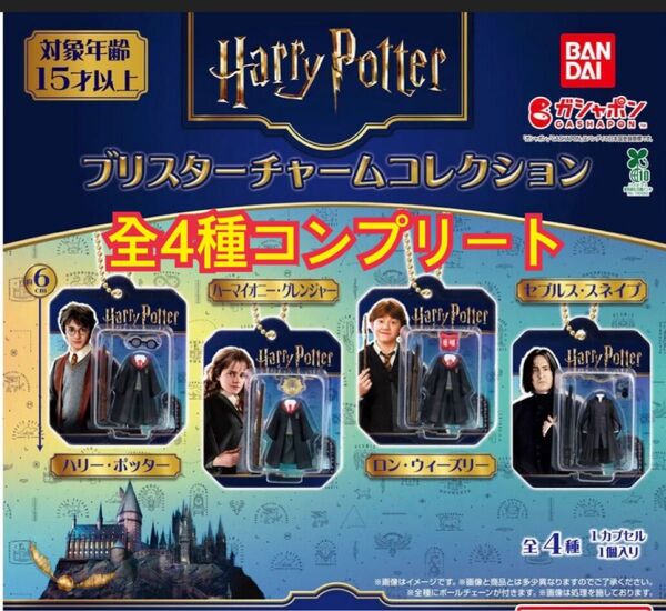 ハリー・ポッター ブリスターチャームコレクション全4種フルコンプ