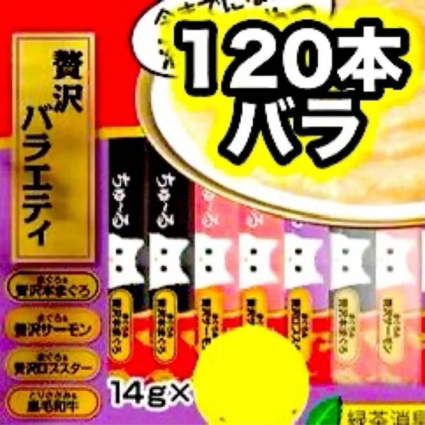 チャオ ちゅーる 贅沢バラエティ 120本 バラ 国産 いなば 猫用 おやつ ちゅ~る まぐろ サーモン ロブスター 黒毛和牛