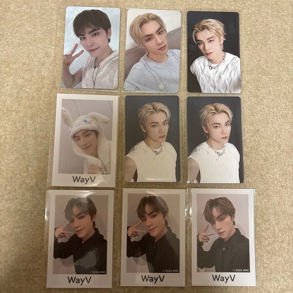 WayV 威神V シャオジュン トレカ ステッカー まとめ売り 特典 ラキドロ グッズセット 韓流