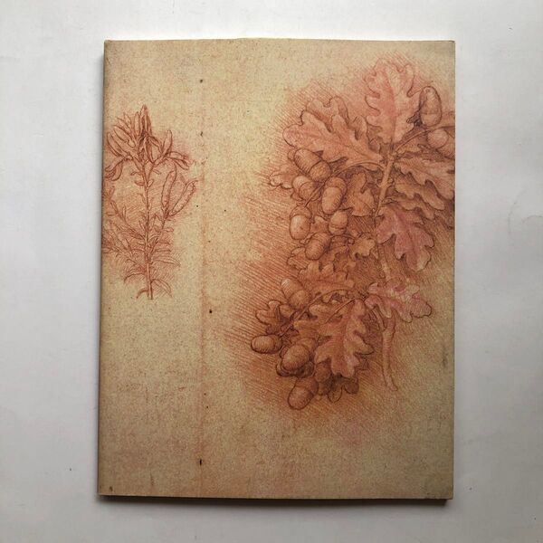 レオナルド・ダ・ヴィンチ 素描展 図録 美術館 絵画