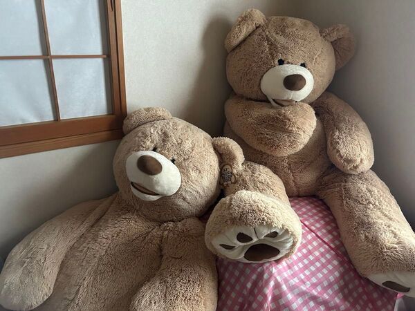コストコ特大クマ ぬいぐるみ130cm 2匹