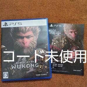 黒神話悟空 ps5ソフト