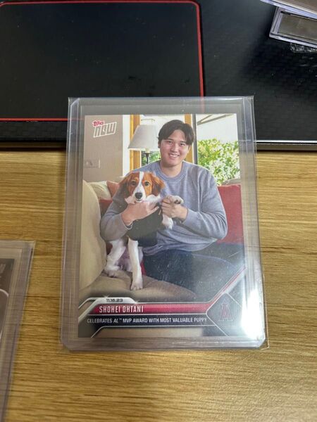 大谷翔平 デコピン 2023 Topps Now OS16 AL MVP