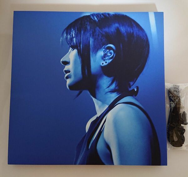 宇多田ヒカル Laughter in the Dark Tour 2018 完全生産限定盤 DVD Blu-ray
