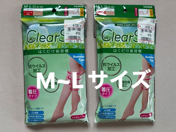GUNZE グンゼ レディース パンティストッキング Summer Type M~Lサイズ 2枚組 2セット ナチュラルベージュ色
