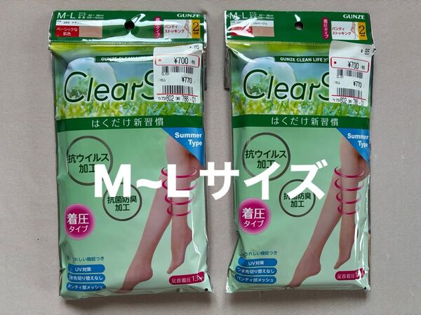 GUNZE グンゼ レディース パンティストッキング Summer Type M~Lサイズ 2枚組 2セット ナチュラルベージュ色