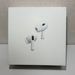 Apple AirPods Pro (第2世代) 箱 イヤーチップ