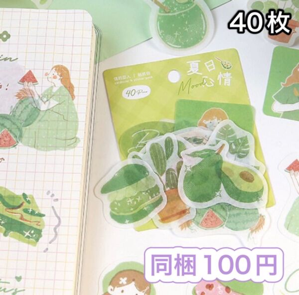 女の子 緑 果物 花 フレークシール ステッカー シール 【No.108】