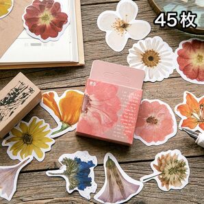 押し花 花 シール フレークシール ステッカー 素材 コラージュ【No.57】