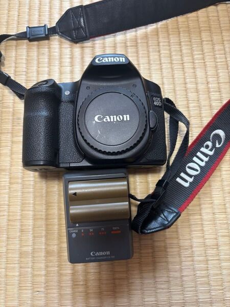 作例あり ショット数2万!EOS 40D バッテリーチャージャー付き
