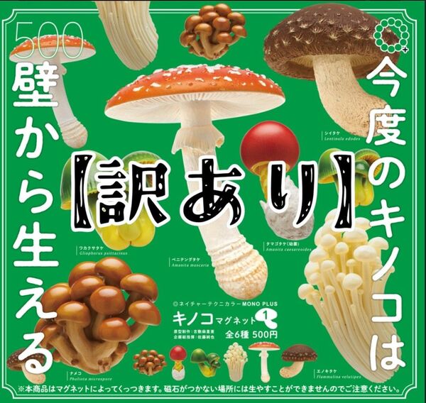 【訳あり】ネイチャーテクニカラー MONO+ キノコマグネット1 全6種