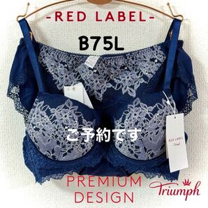 トリンプ レッドレーベル 0110 シアー&グロス B75L