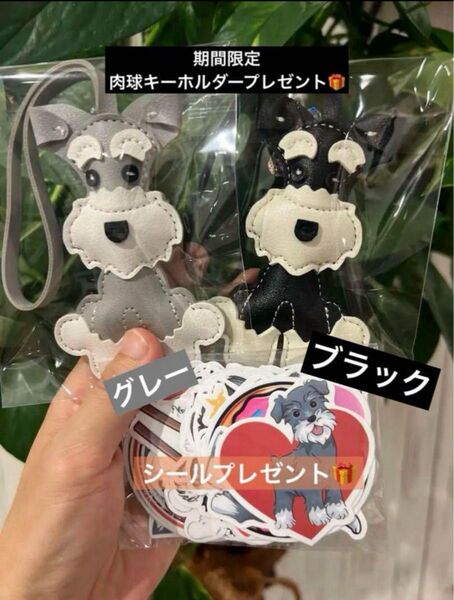 濃いグレー 黒 ミニチュアシュナウザー2個セット プレゼント付き