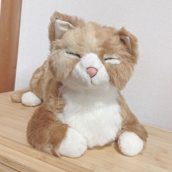 カドリー cuddly 猫 リアル ぬいぐるみ ひねもす 茶色 ブラウン 日本製