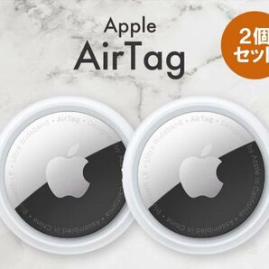 新品未使用 Apple AirTag 2個セット 2パック アップル エアタグ エアータグ 本体 MX542ZP MX532ZP
